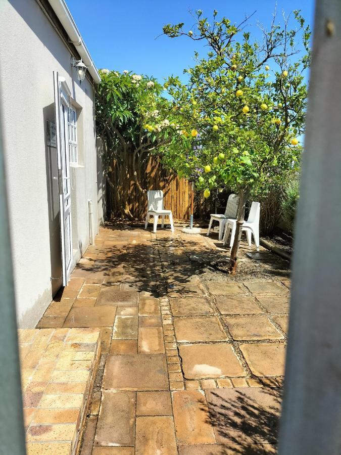 Lemon Tree Cottage Edgemead エクステリア 写真