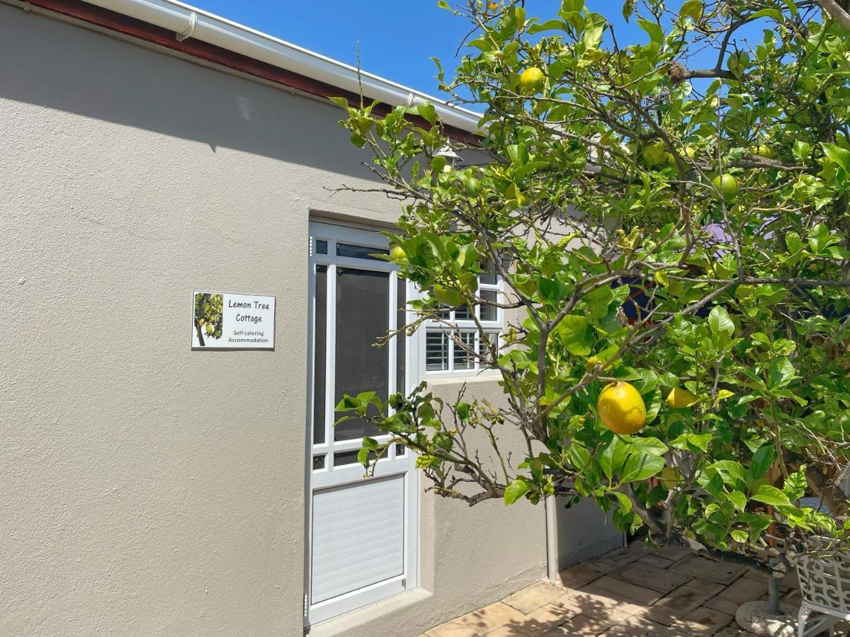 Lemon Tree Cottage Edgemead エクステリア 写真