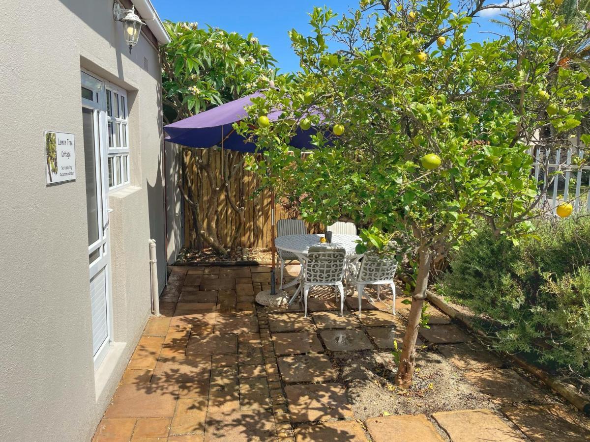 Lemon Tree Cottage Edgemead エクステリア 写真