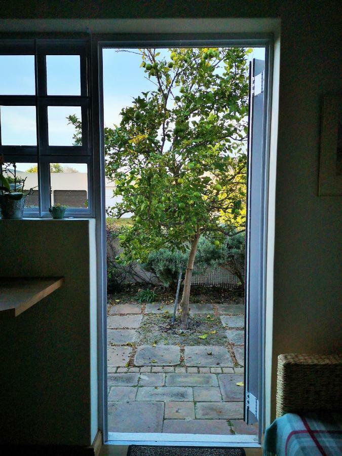Lemon Tree Cottage Edgemead エクステリア 写真